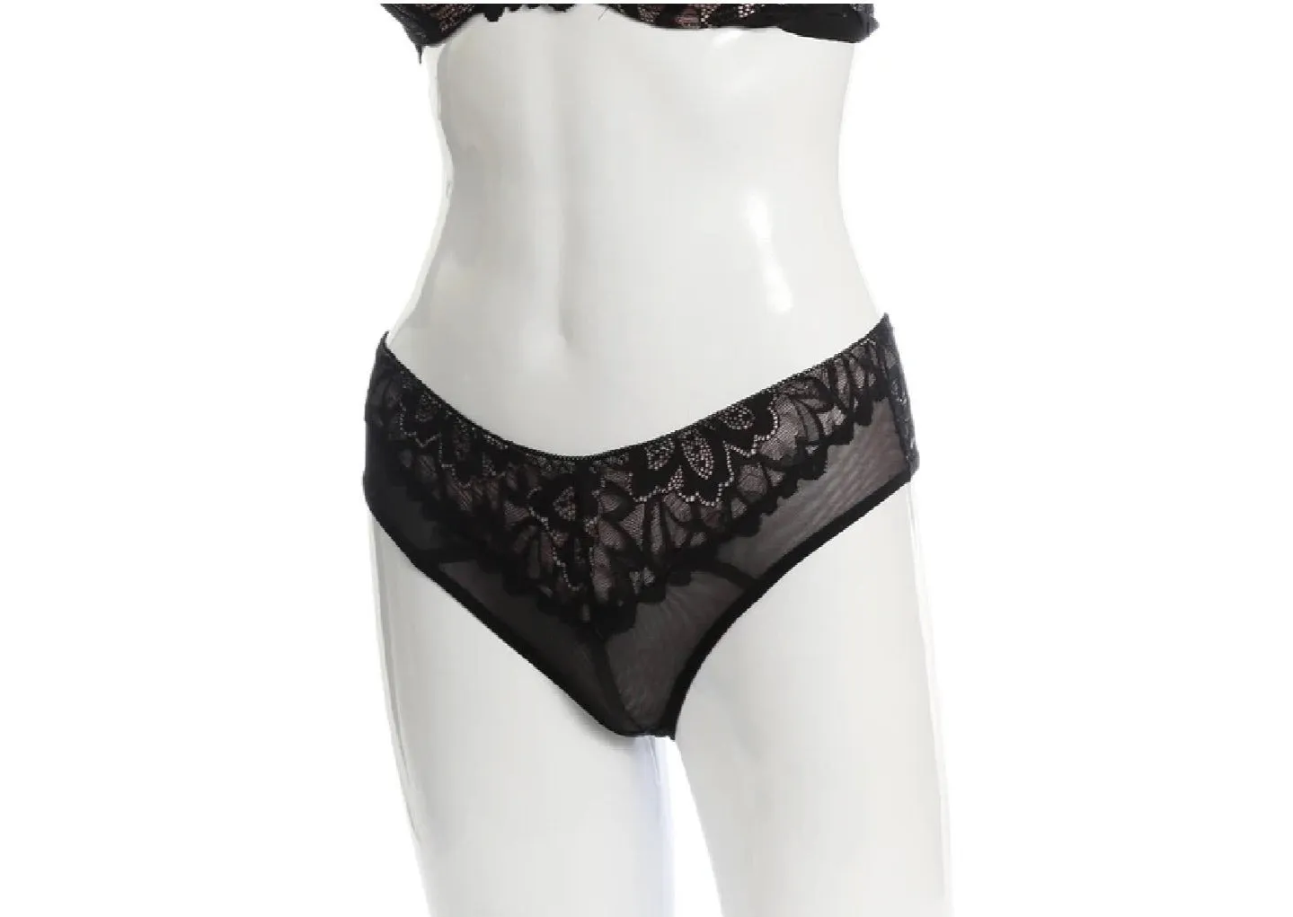 Allover Sheer Lace Cheeky Panties