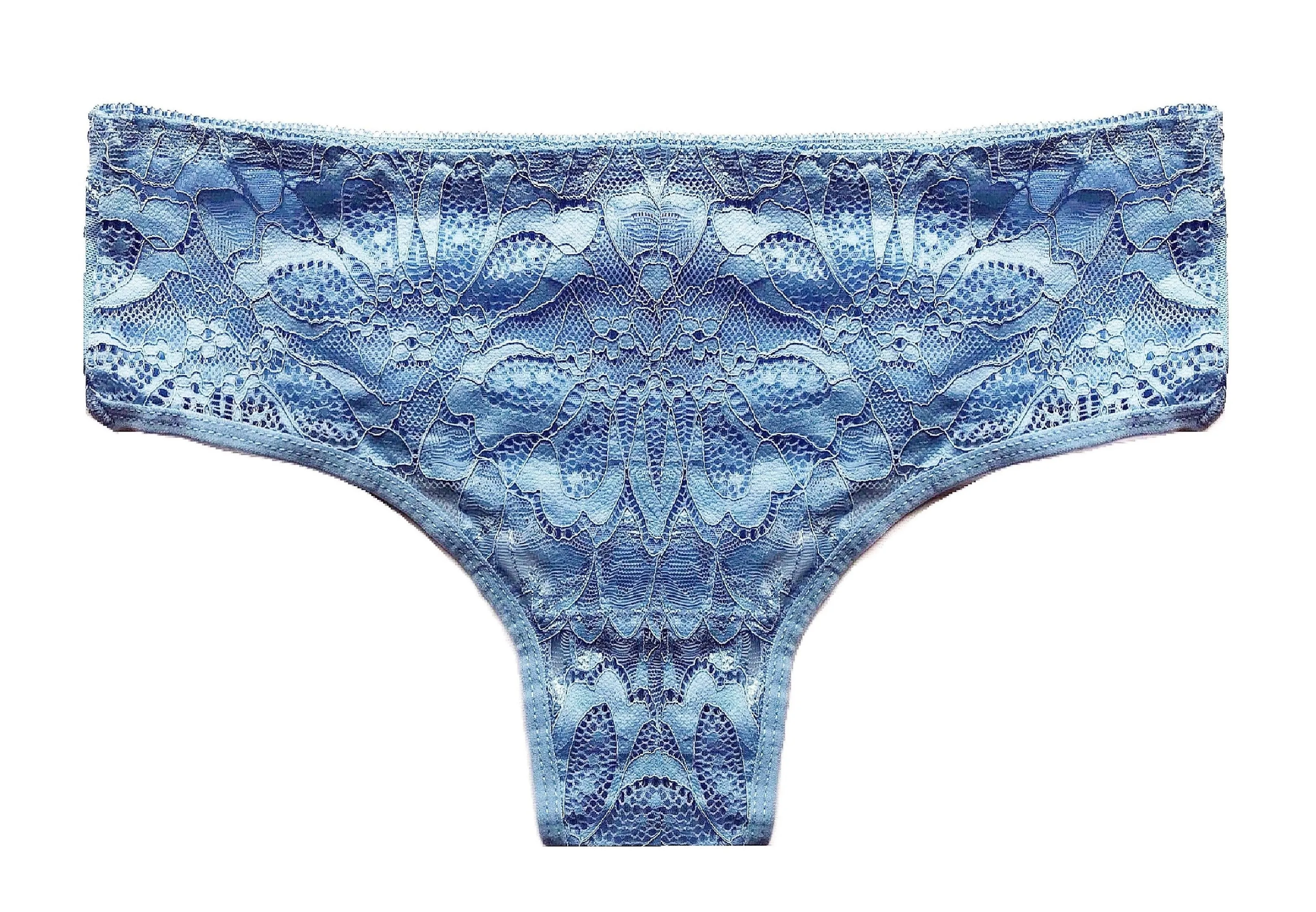Allover Sheer Lace Cheeky Panties
