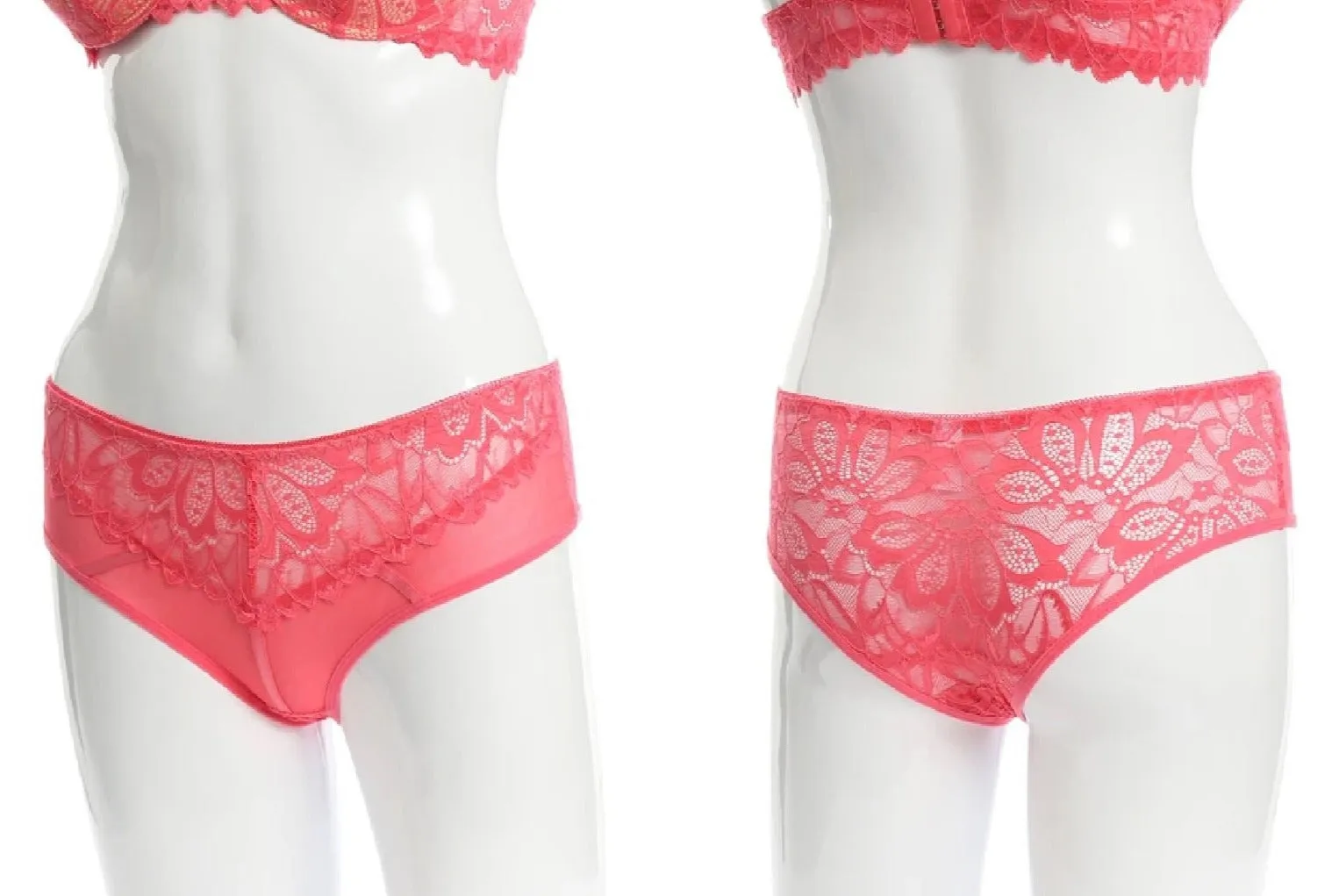 Allover Sheer Lace Cheeky Panties