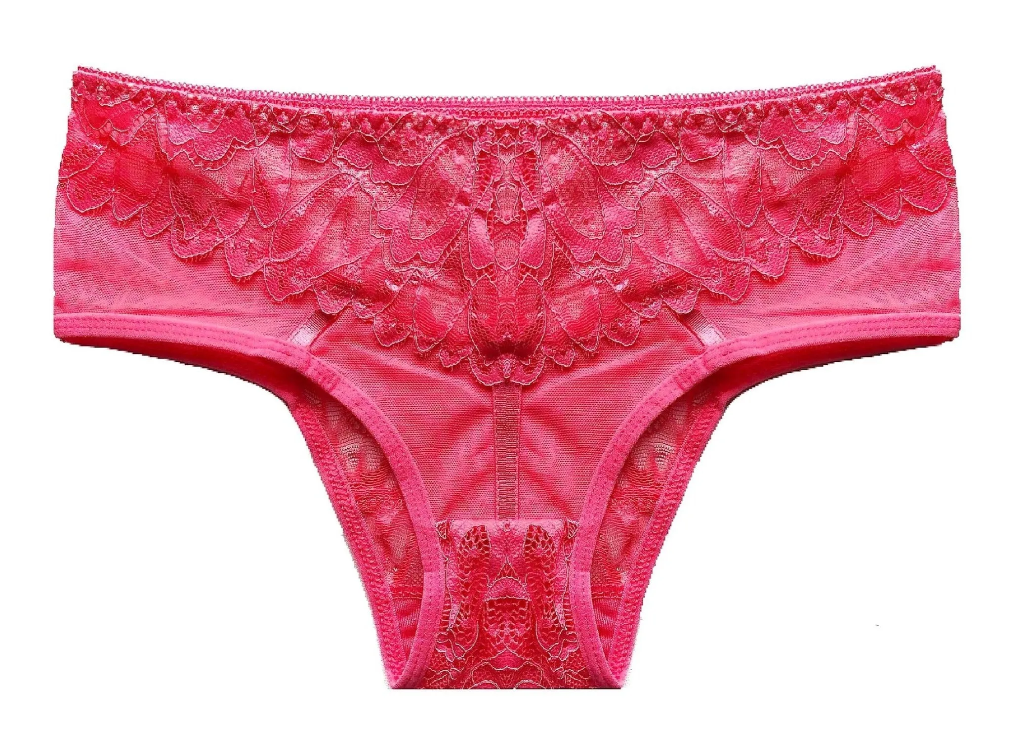 Allover Sheer Lace Cheeky Panties