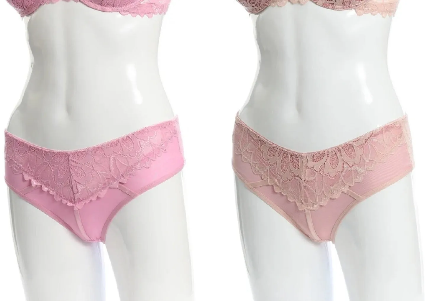 Allover Sheer Lace Cheeky Panties