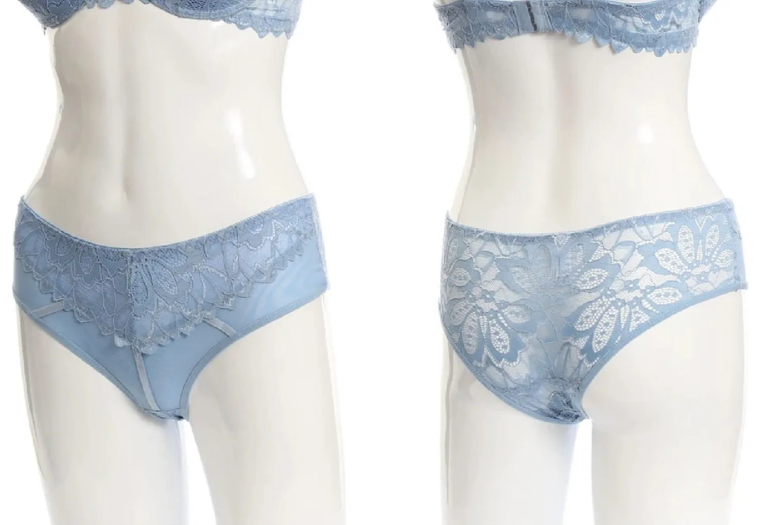 Allover Sheer Lace Cheeky Panties