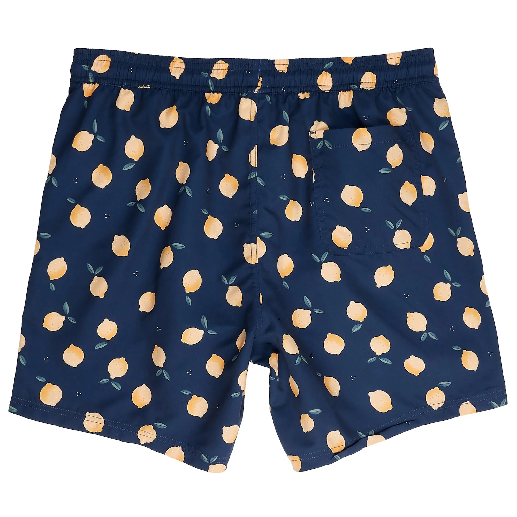 Men's Lemon Swimsuit