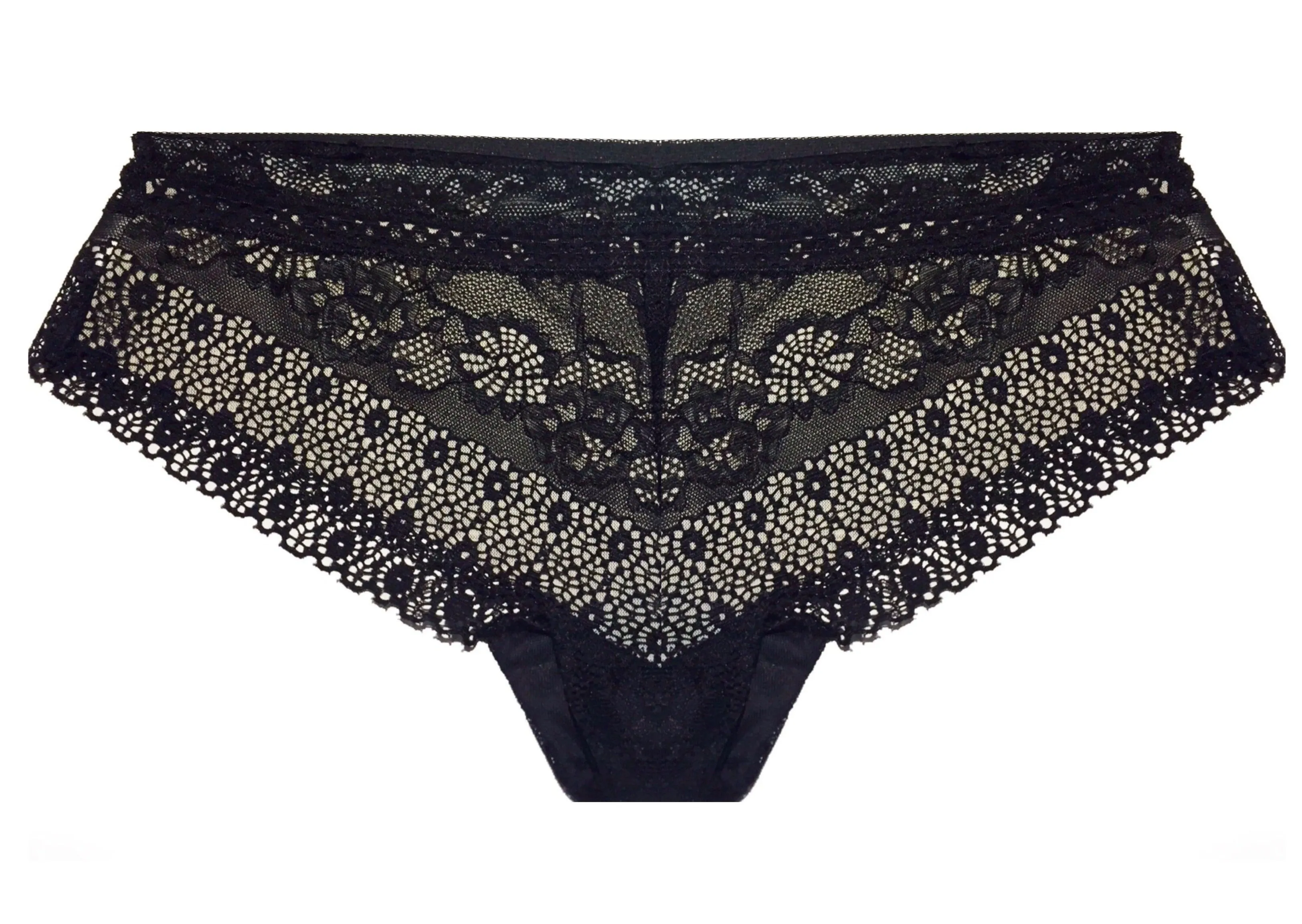 Premier & Dignified Semi-Sheer Lace Panties