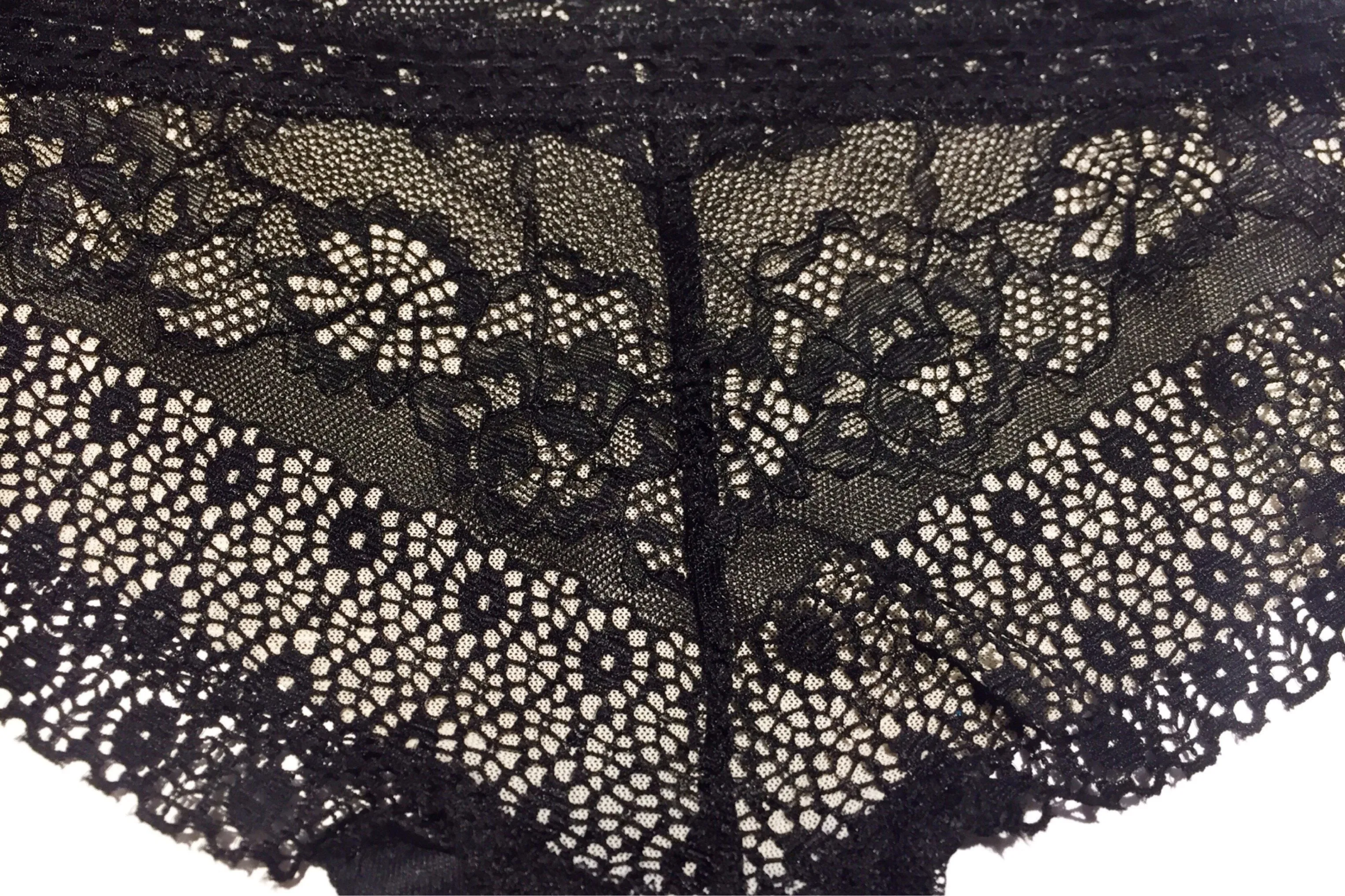 Premier & Dignified Semi-Sheer Lace Panties