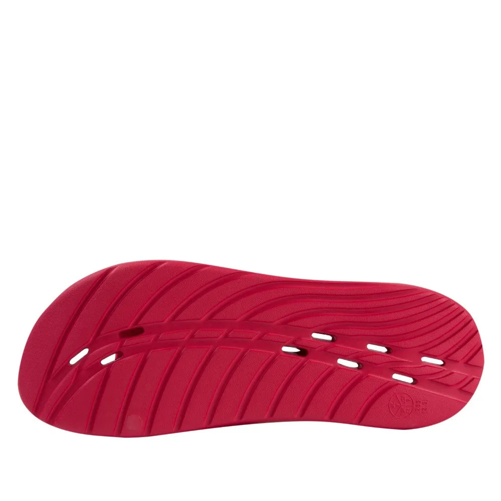 Slides