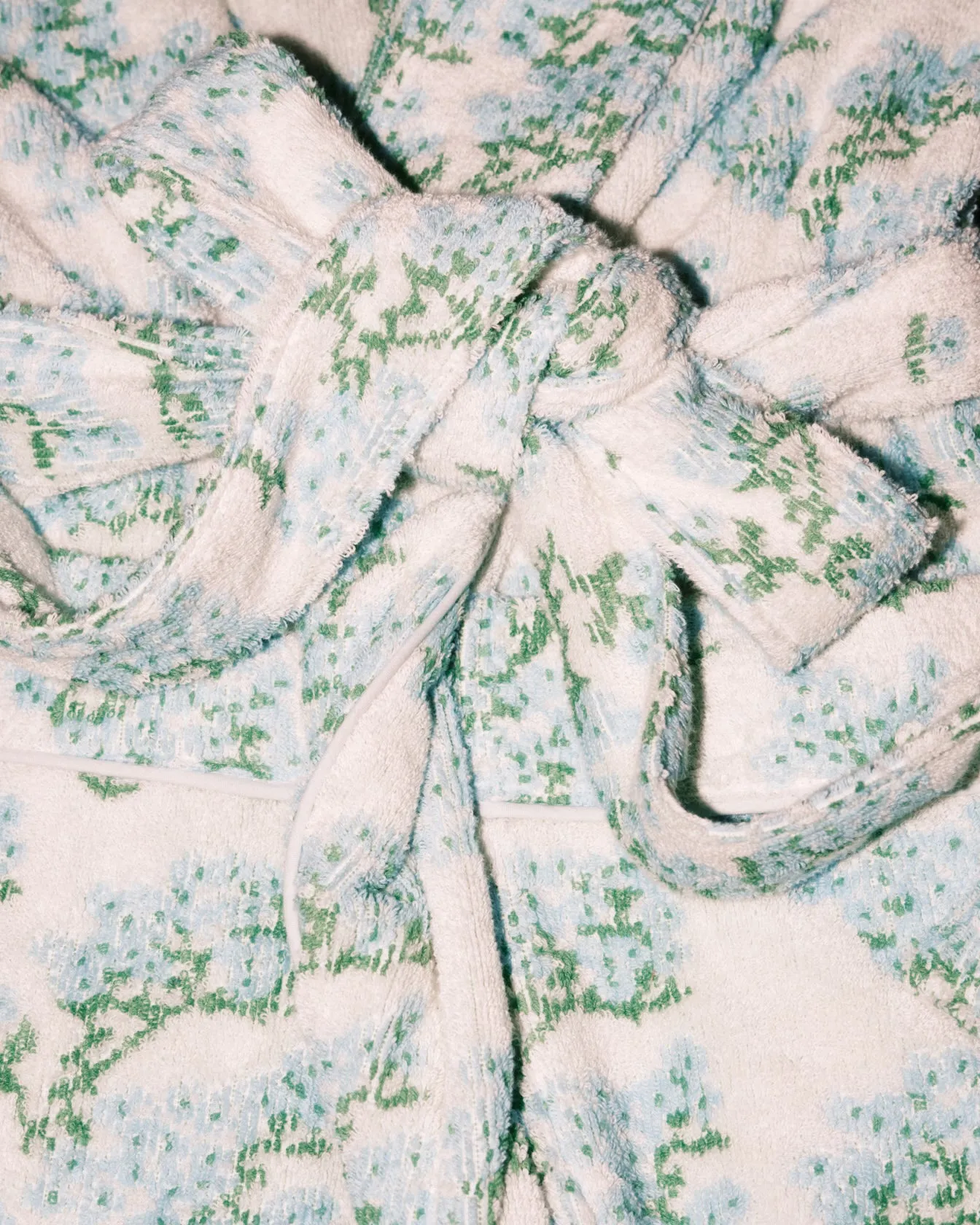 The Bath Robe