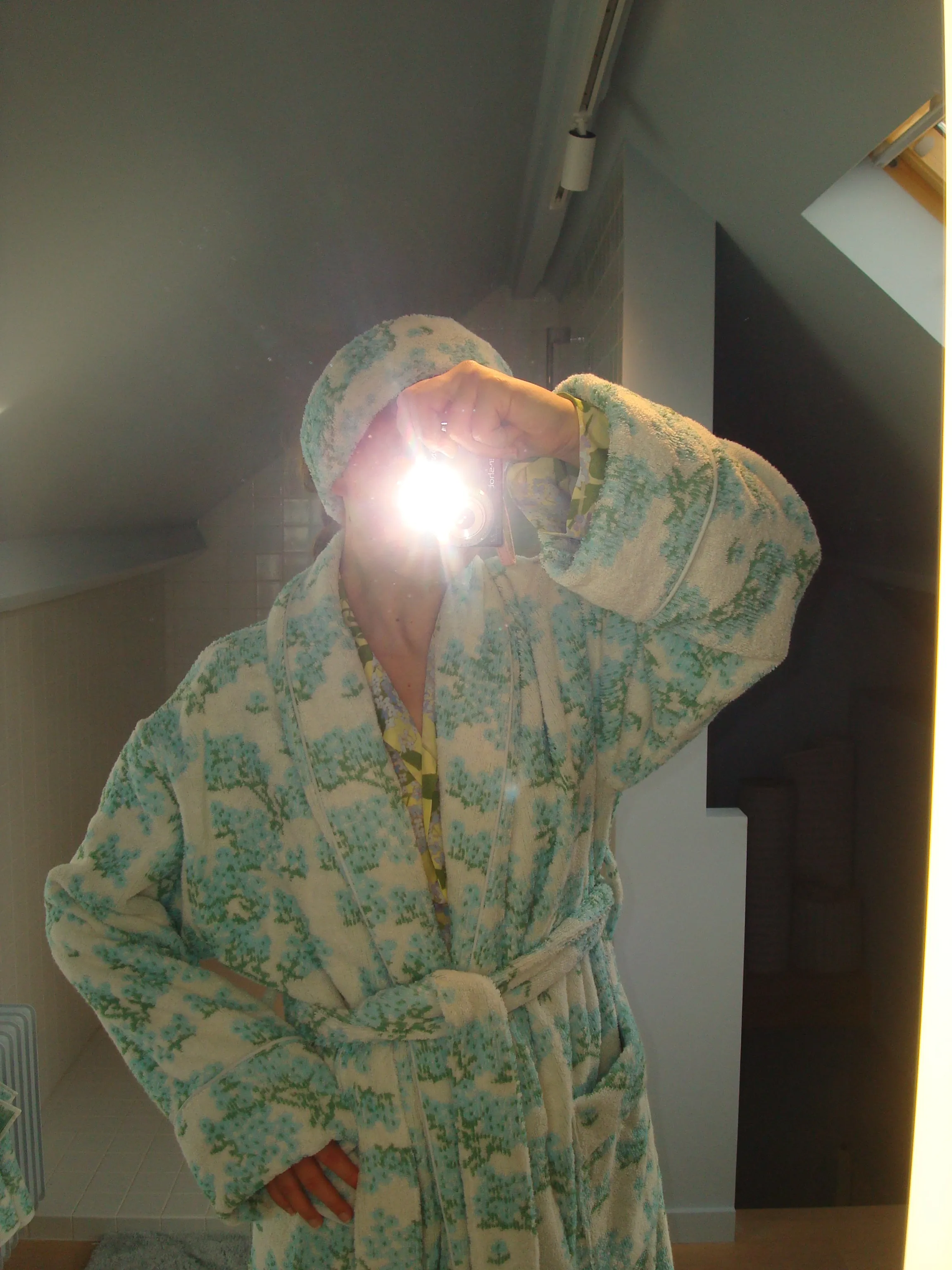 The Bath Robe
